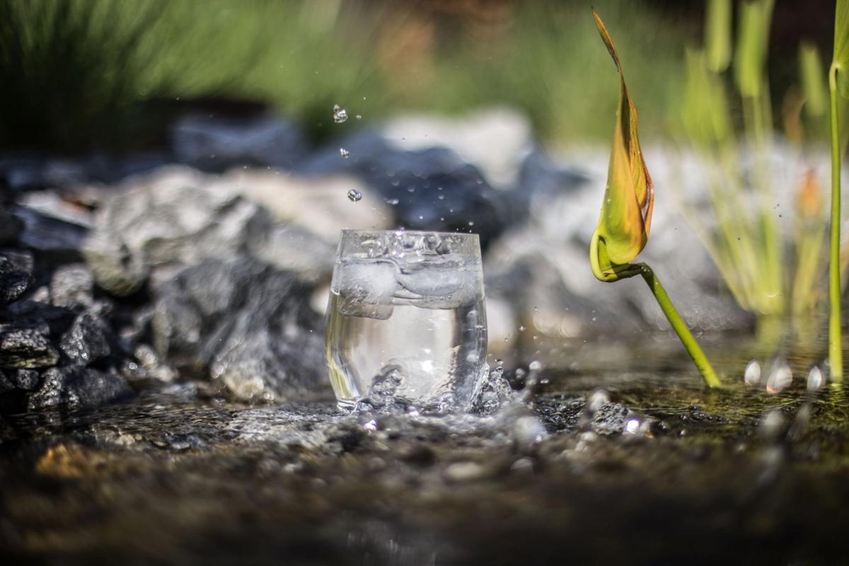 Parte del agua diaria no se bebe: llega en la comida.